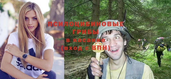 мдпв Абинск